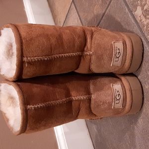 Uggs classic short boots.  Chestnut size 6